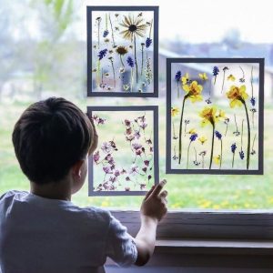 Mini Prensa Botánica – Mariposas