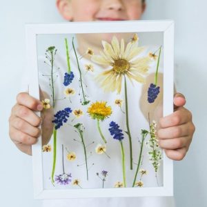 Mini Prensa Botánica – San Antonio